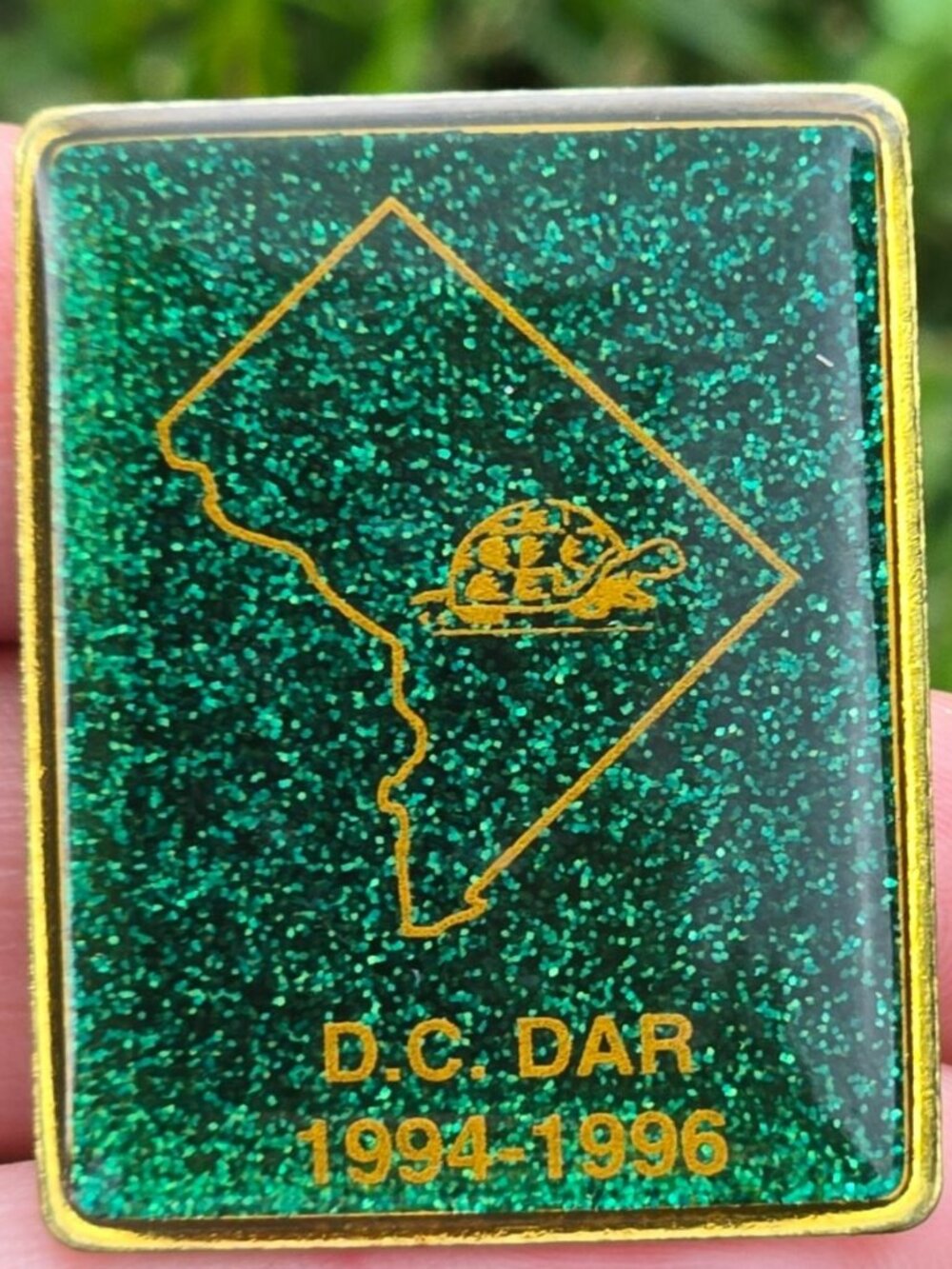 Daughters of the American Revolution DAR DC Green turtle Pin Brooch DC Vintage
